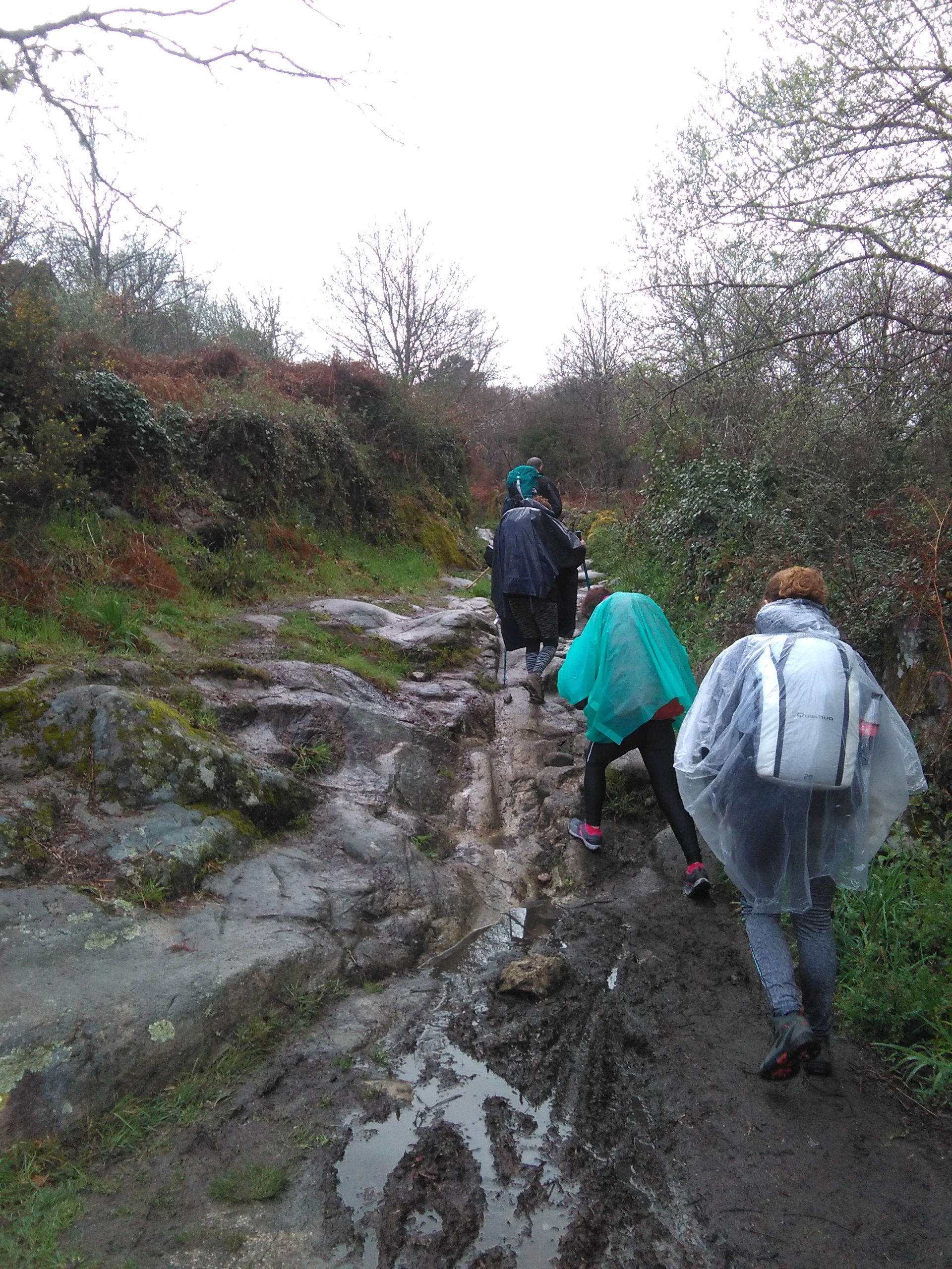 camino de Santiago