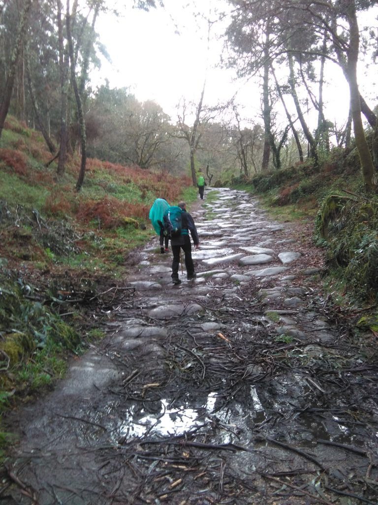 camino de Santiago