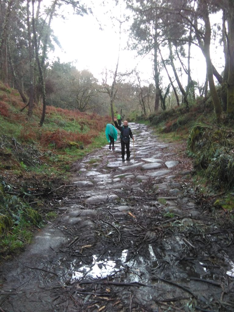 camino de Santiago