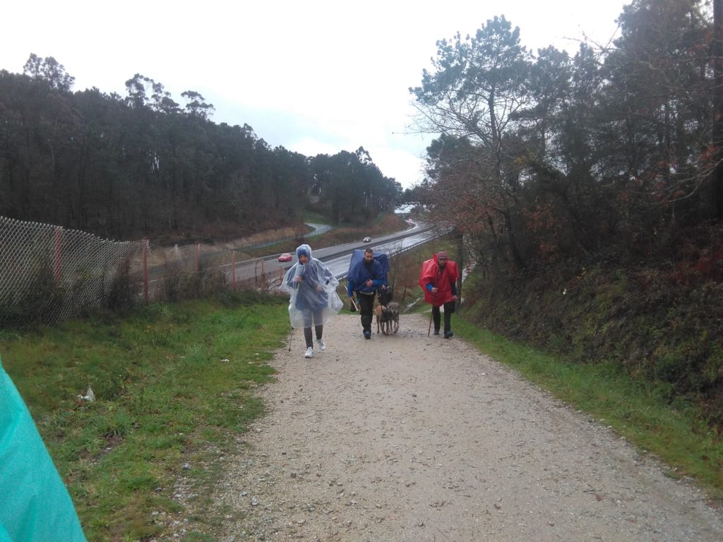 camino de Santiago