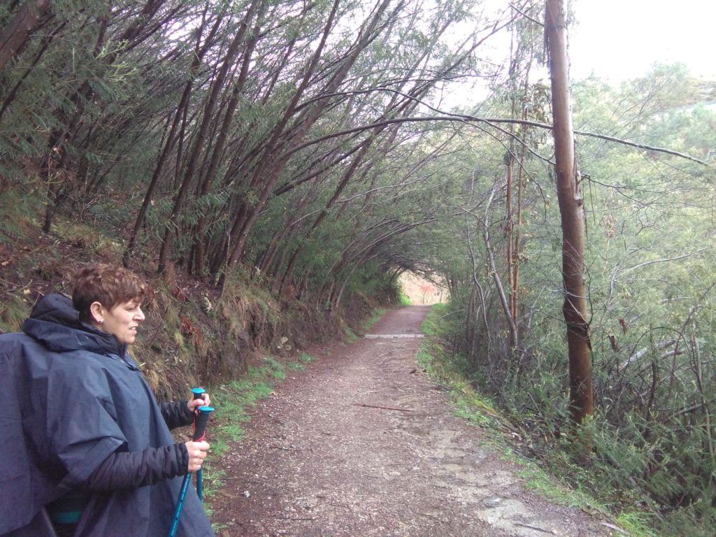 camino de Santiago