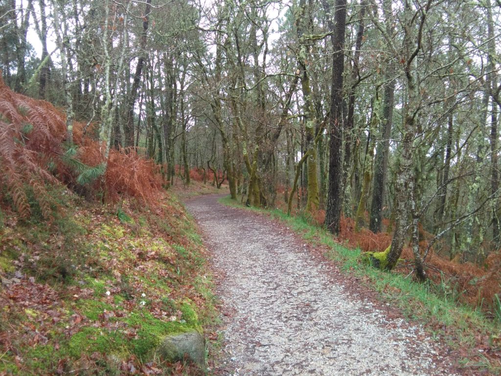 camino de Santiago