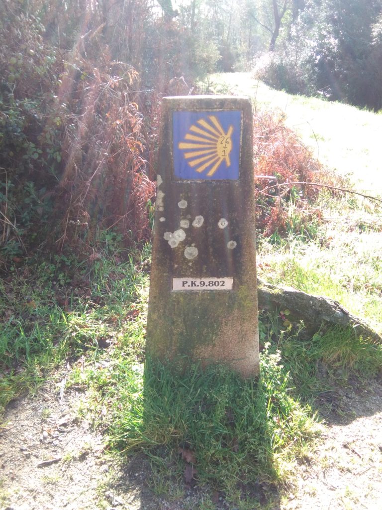 camino de Santiago