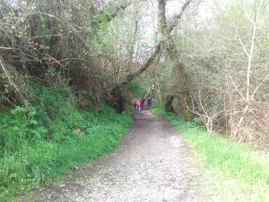 camino de Santiago